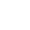 Immediate Flux - DIVERSE LEVELS OF AUTONOMY